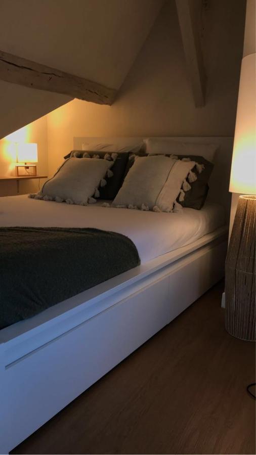 Duplex - Parking Inclus - Au Bord De L'eure *